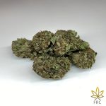 Purple Kush