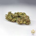 Tom Ford Cannabis Flower Seed AAAA quality weed products
