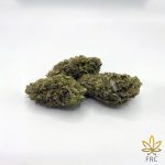 King Louis AAAA+ Cannabis Strains