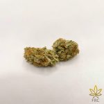 purple bud