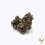 punchbud