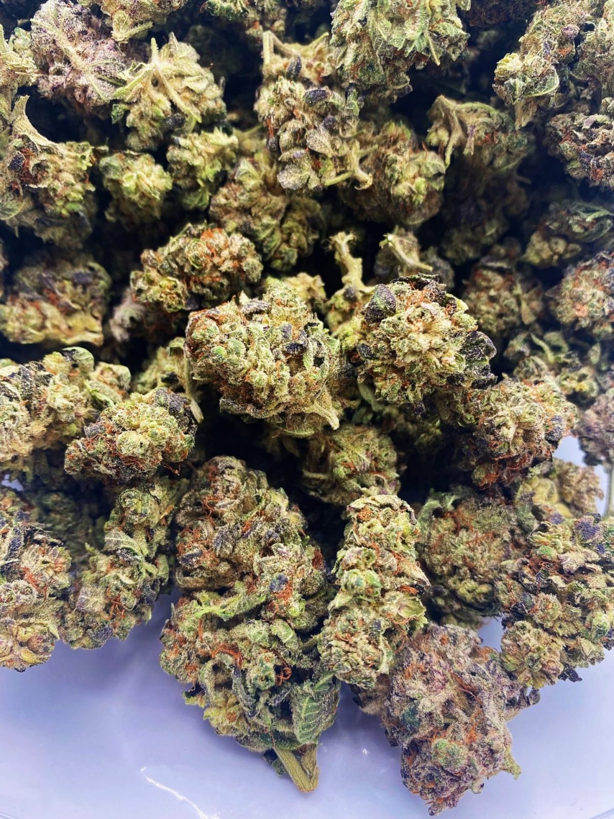 Kush Mint AA+ Strain for same day cannabis delivery in lower mainland Canada